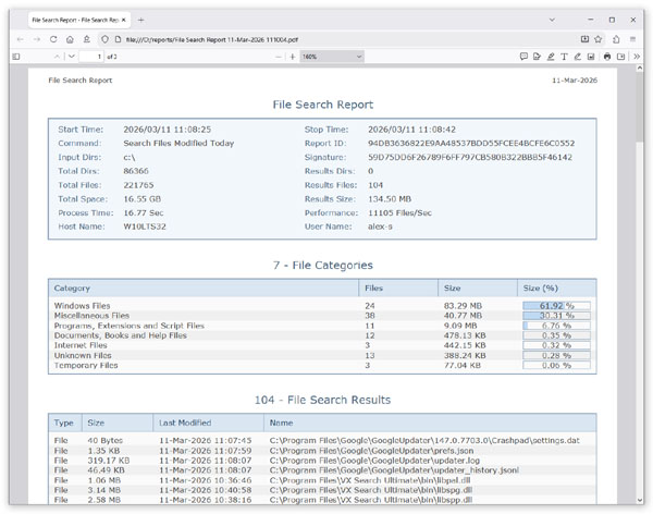 VX Search Graphical PDF Report