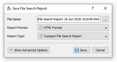 VX Search Save File Search Report